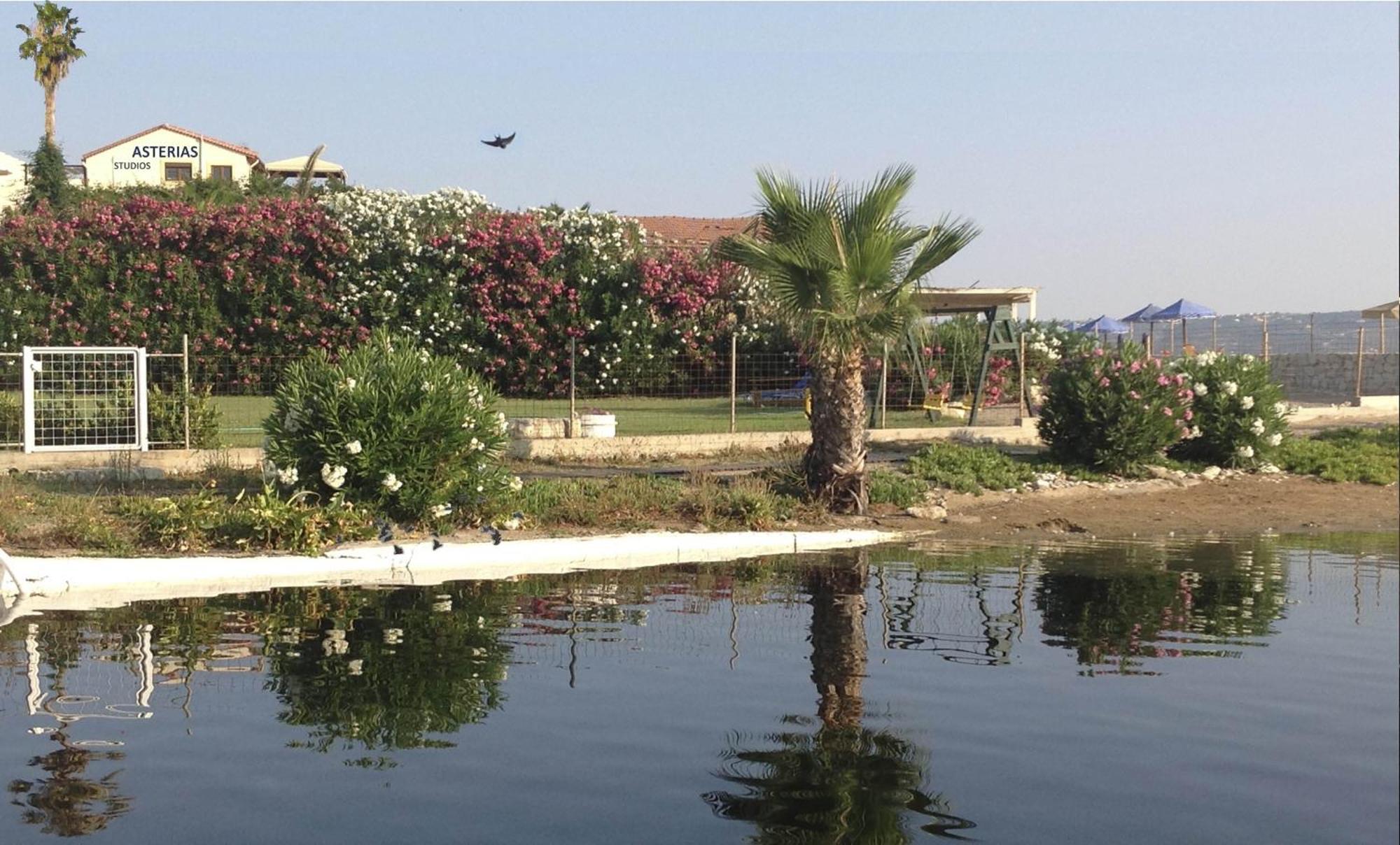 Asterias Studios & Apartments Kalyves Bagian luar foto